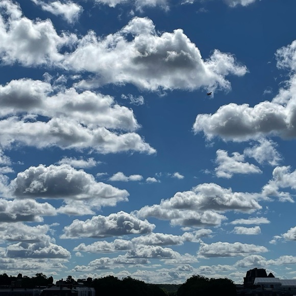 Meet your Posher, Jal - Picture 1 of 14